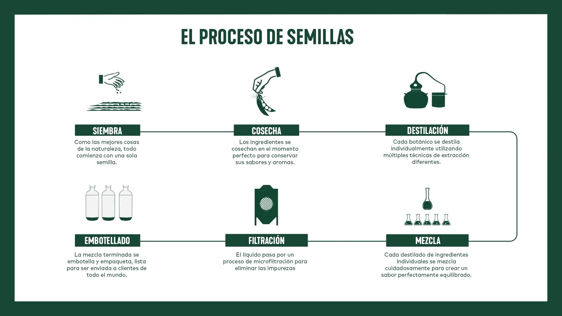 Proceso de  Semillas
