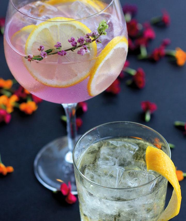 gins zero desperdício guarnecidos com cascas e rodelas de frutas cítricas