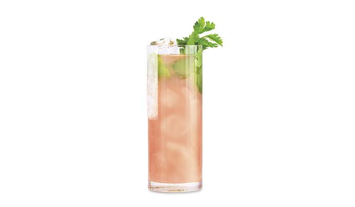 Sombra Cilantro Paloma
