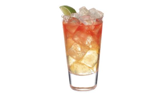 J&B Ginger Ale Twist and Bitters