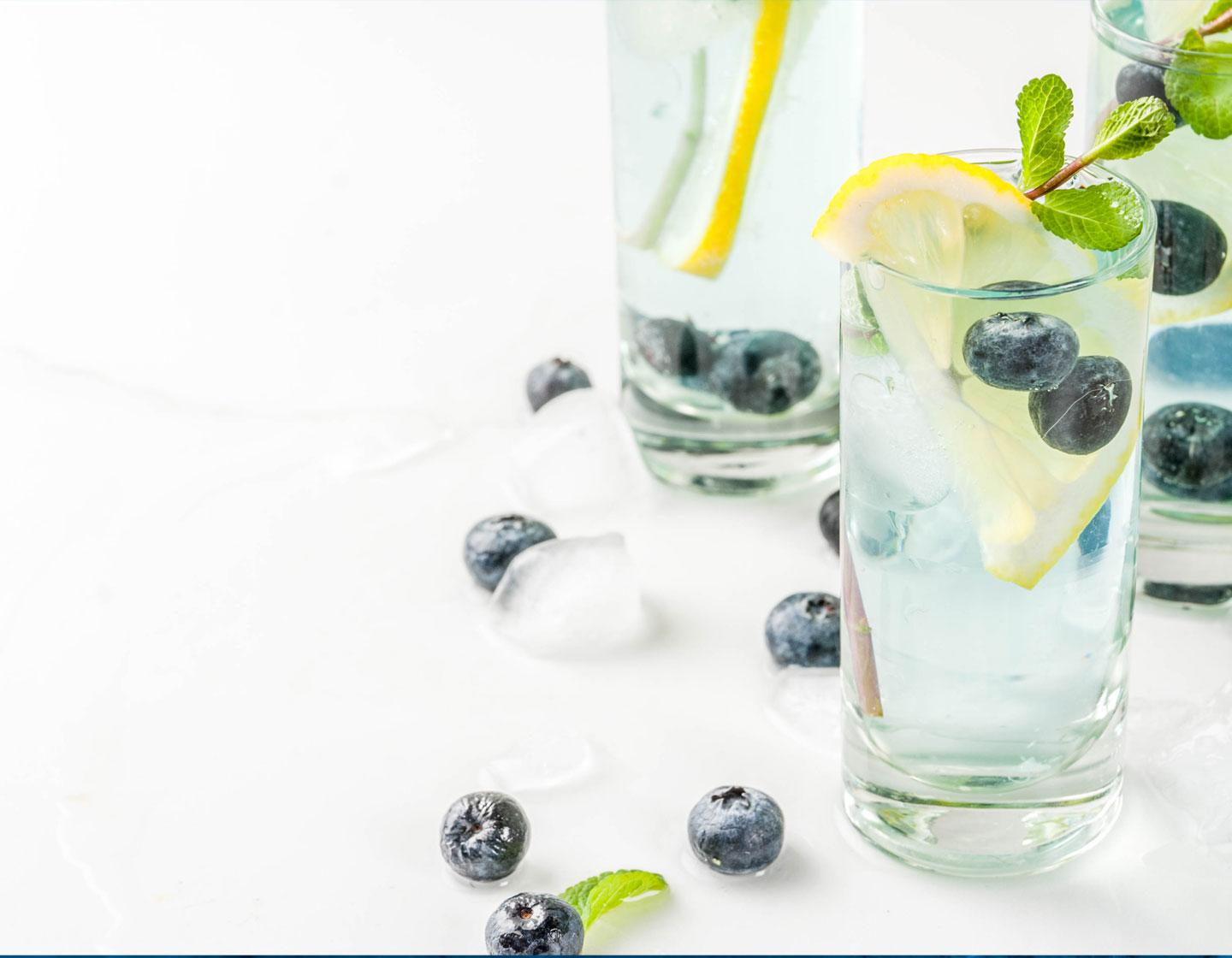 3 glasses of Gin and Vodka with lemon and blueberries