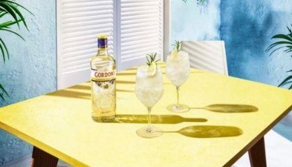 Gin Fizz De Gordon's