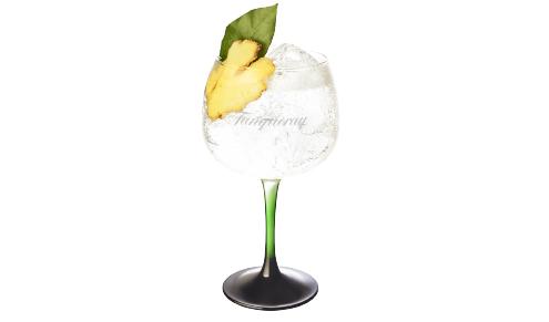 Tanqueray Rangpur & Tonic with Ginger & Bay Leaf 