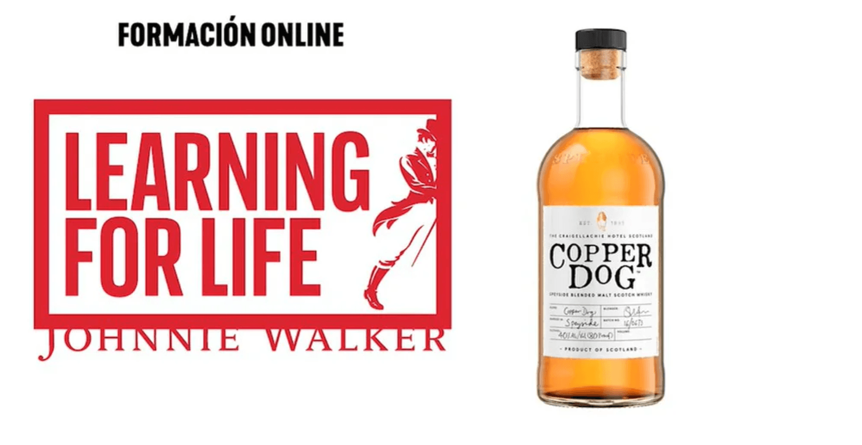 Formación Copper Dog 