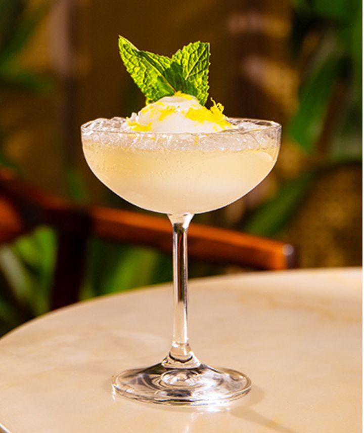 Cocktail in a Coupe Glass with a mint leaf