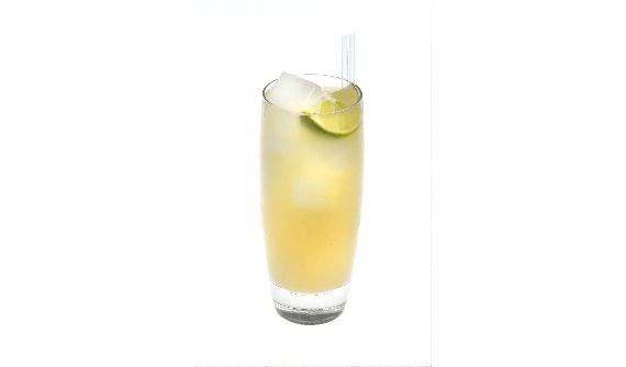 Citrus Fizz