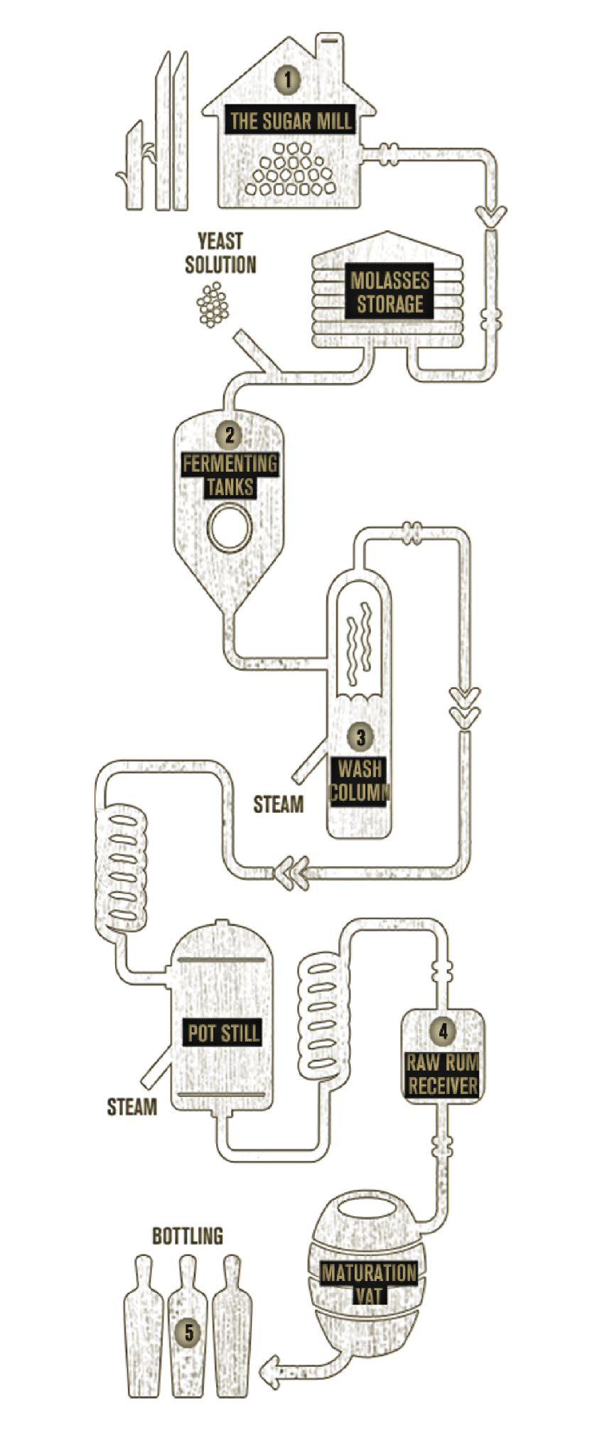 Bundaberg rum process infographic