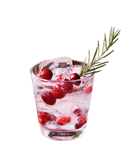 bebida refrescante rosmery