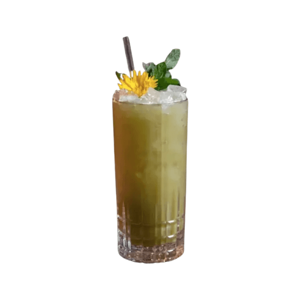 bebida refrescante celebration
