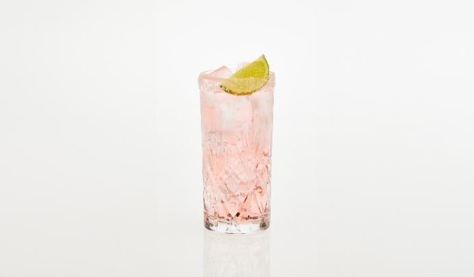 La Paloma Suprema