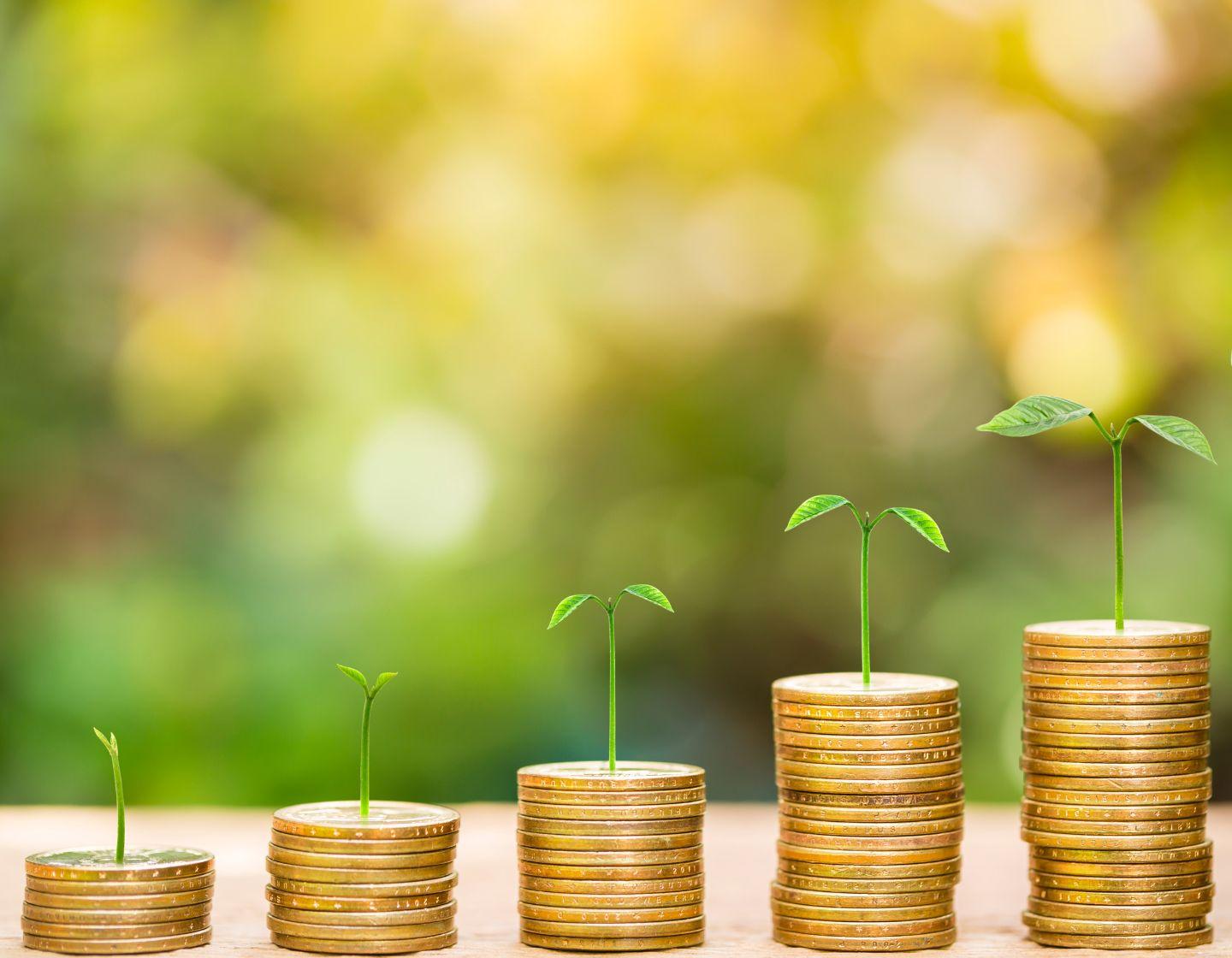 Stacks of gold coins with small green leaves growing from the top of each stack.