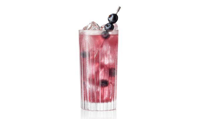 Blueberry Gin Fizz