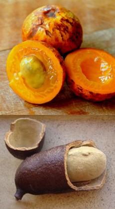 Imagem das frutas Cambu Pão, Cambuca e Jatoba