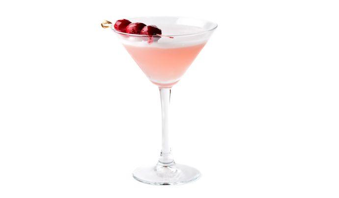 GARNISHED GORDON’S PINK MARTINI