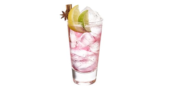 Spiced Cranberry G & T