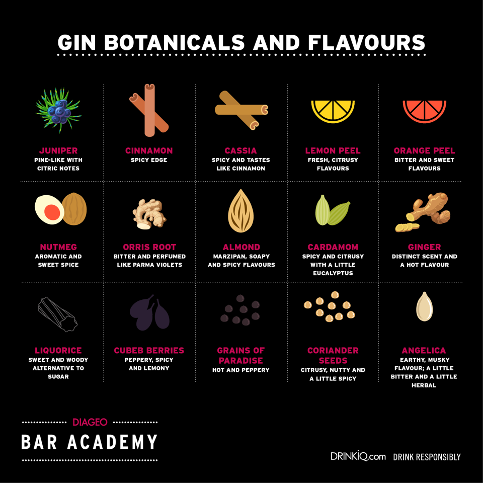 Infografía de ginebra que muestra la botánica y los sabores de la ginebra.