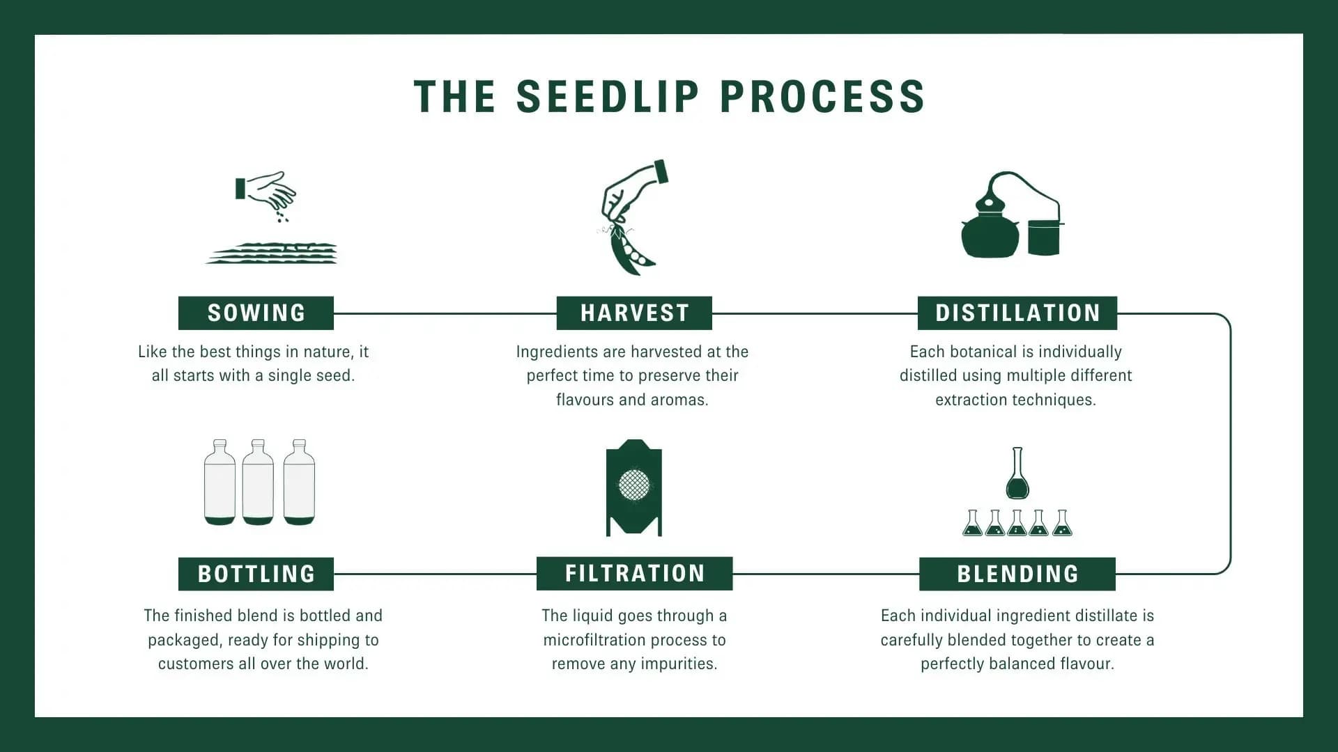 Diagrama que muestra el proceso de creación de Seedlip. 