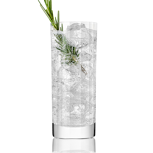 Cocktail in highball glass with pine garnish 