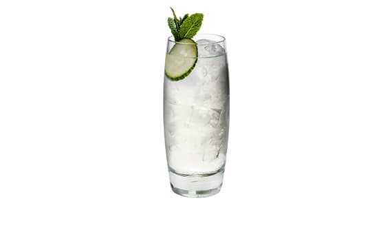 Tanqueray London Dry & Tonic with Cucumber & Mint