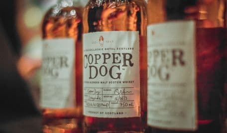 Botella de Copper Dog sobre una barra junto a un cóctel en copa de Martini 