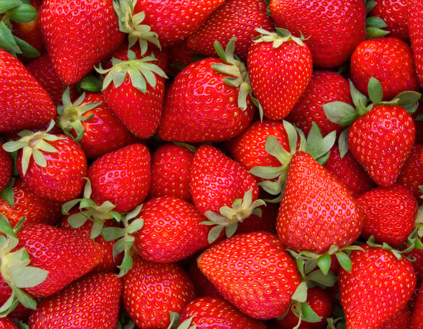 Homegrown fresh and juicy Strawberries 