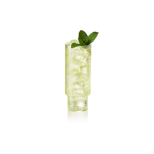 Cocktail in a Tall Glass with Mint Garnish 