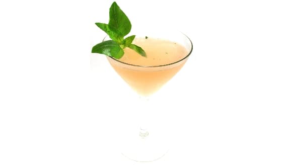 Ruby Grapefruit & Madagascar Vanilla Martini
