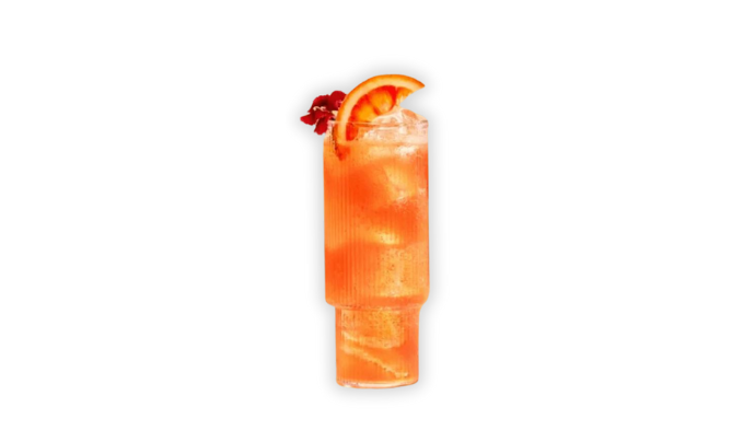 Whisky in highball glass filled with ice and cranberry juice, soda and orange garnish