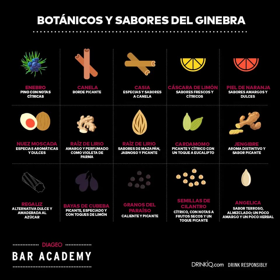 Infografía del gin que muestra los botánicos y sabores del gin