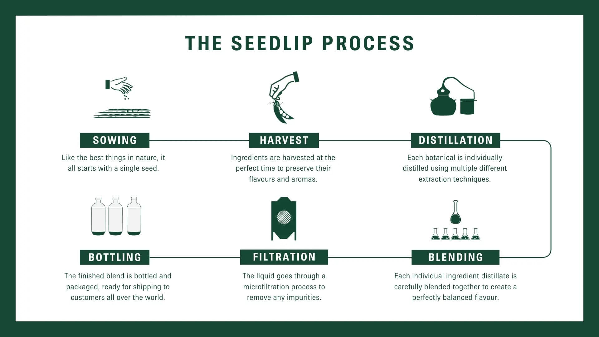 Diagramm zur Erstellung von Seedlip