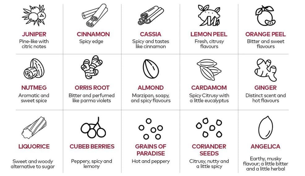 A chart highlighting common botanical ingredients, and their flavours, used in gin production.