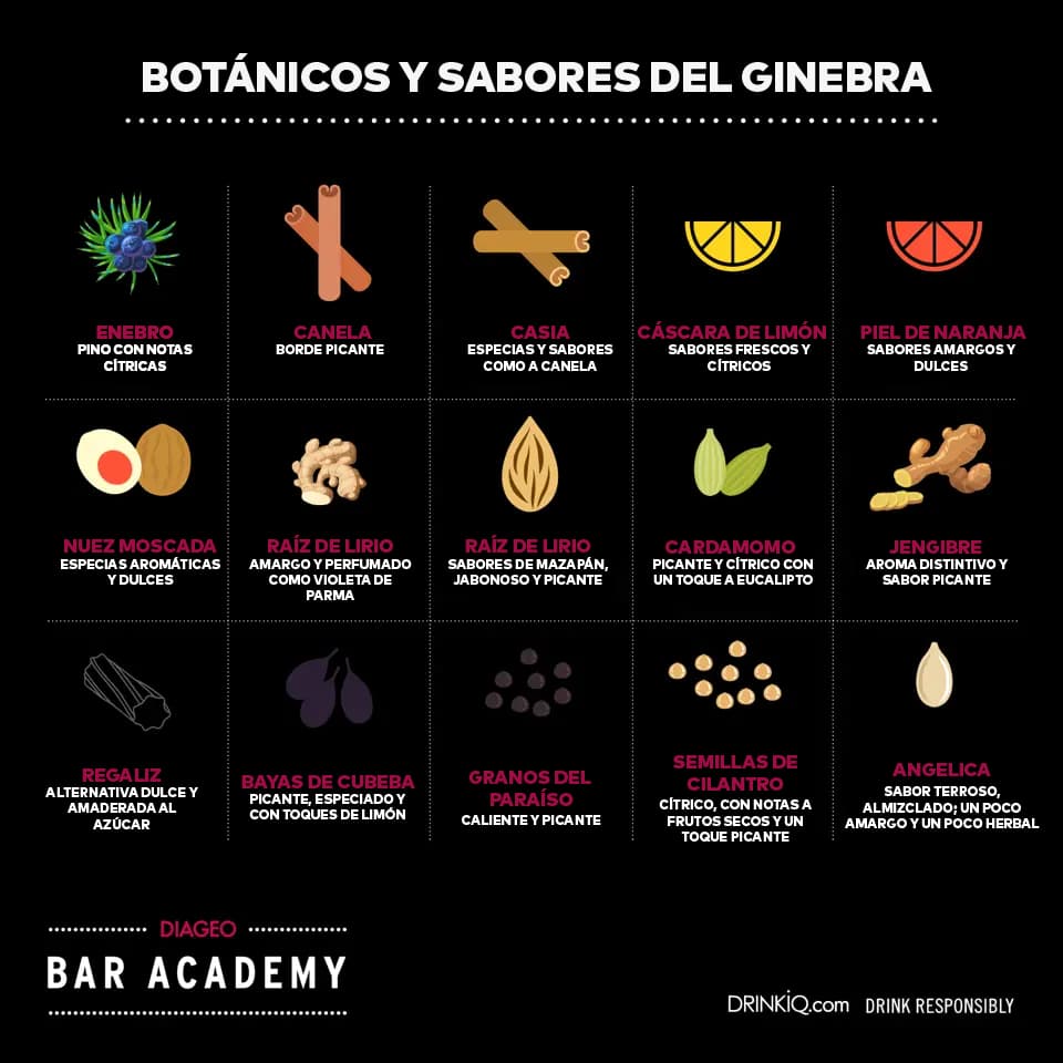 Infografía sobre la ginebra: botánica y sabores