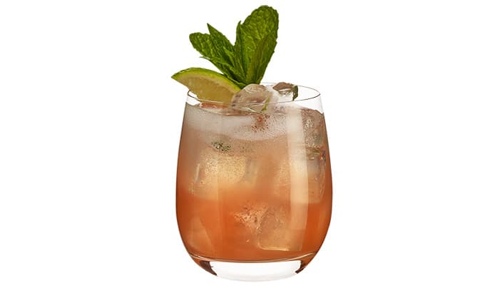 Cocktail in a glass with mint spring garnish