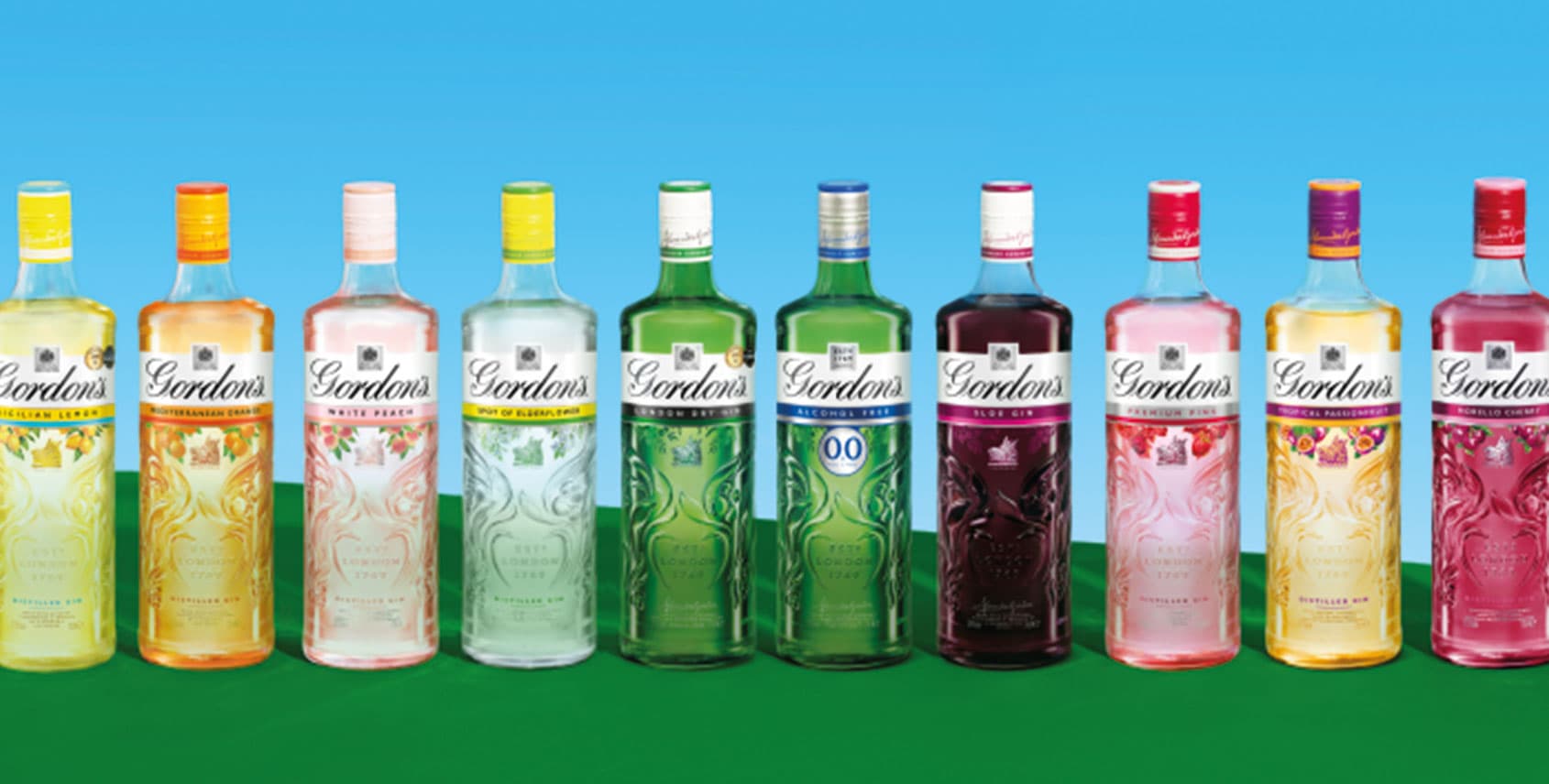 collection of Gordon's Gins