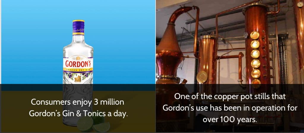 Selección de imágenes del gin Gordon’s acompañados de datos interesantes.